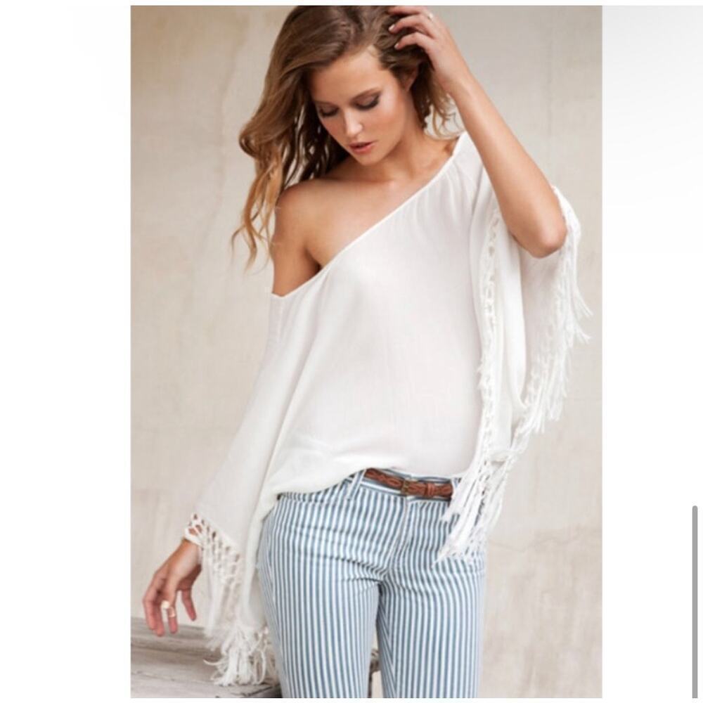Pistola Striped Cara Skinny Jeans 27